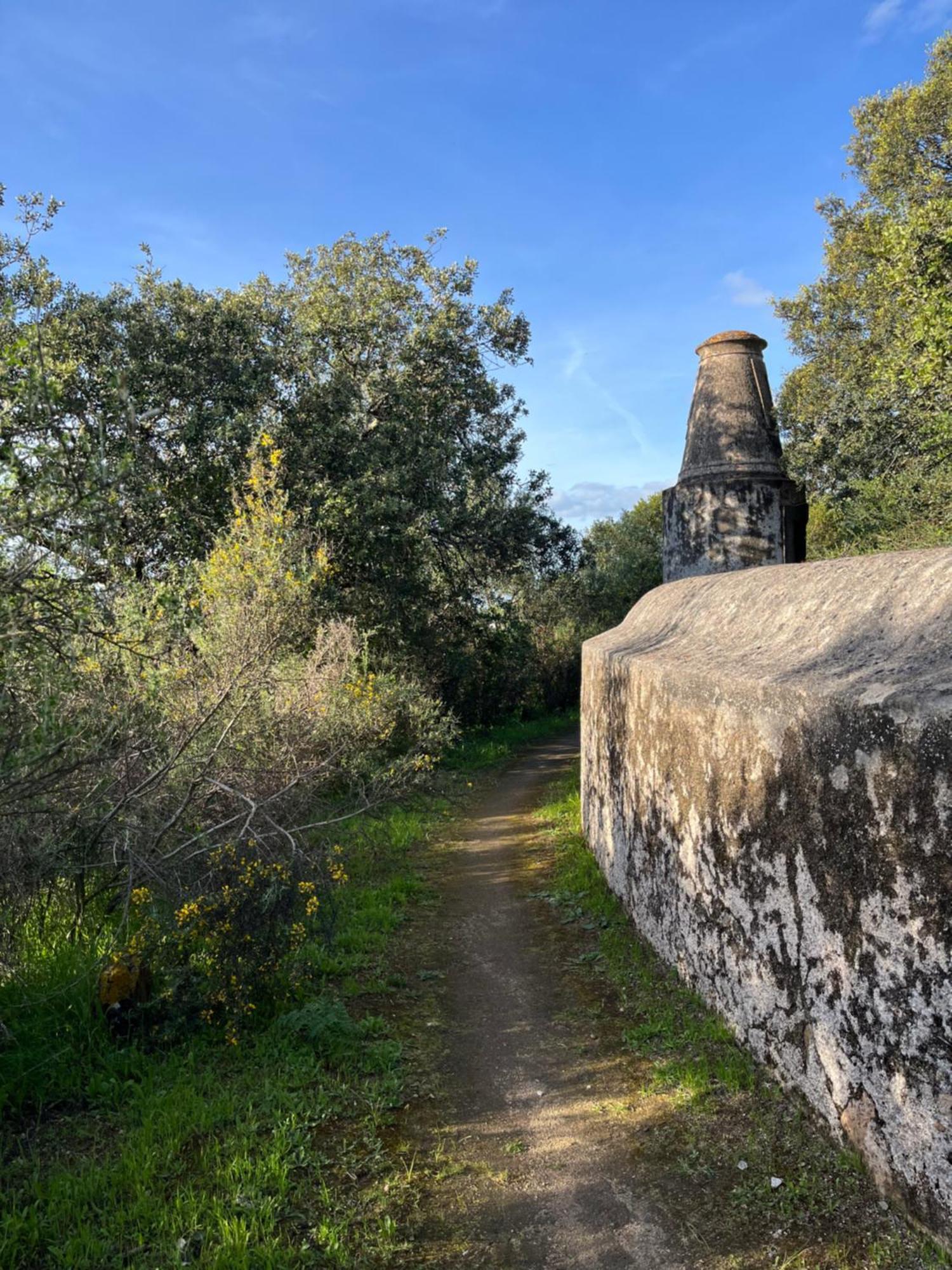 Quinta Do Faisco Villa Évora Exterior foto